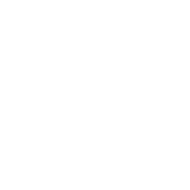 Parmint